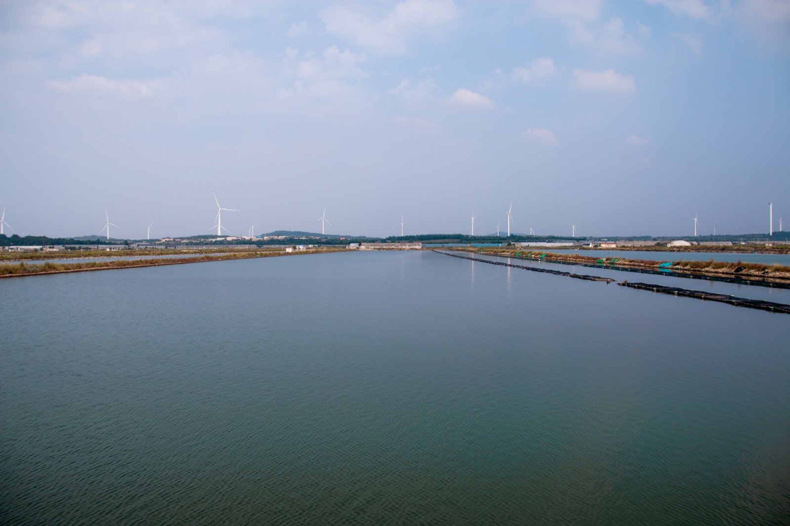 瓦岛珍参围堰基地实景展示