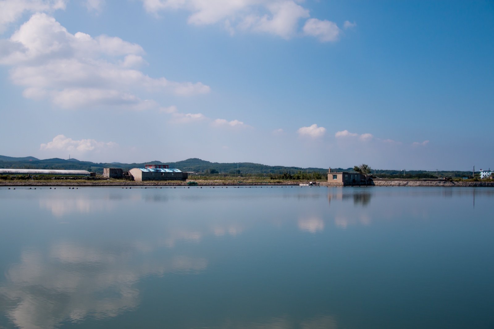 瓦岛珍参围堰基地实景展示