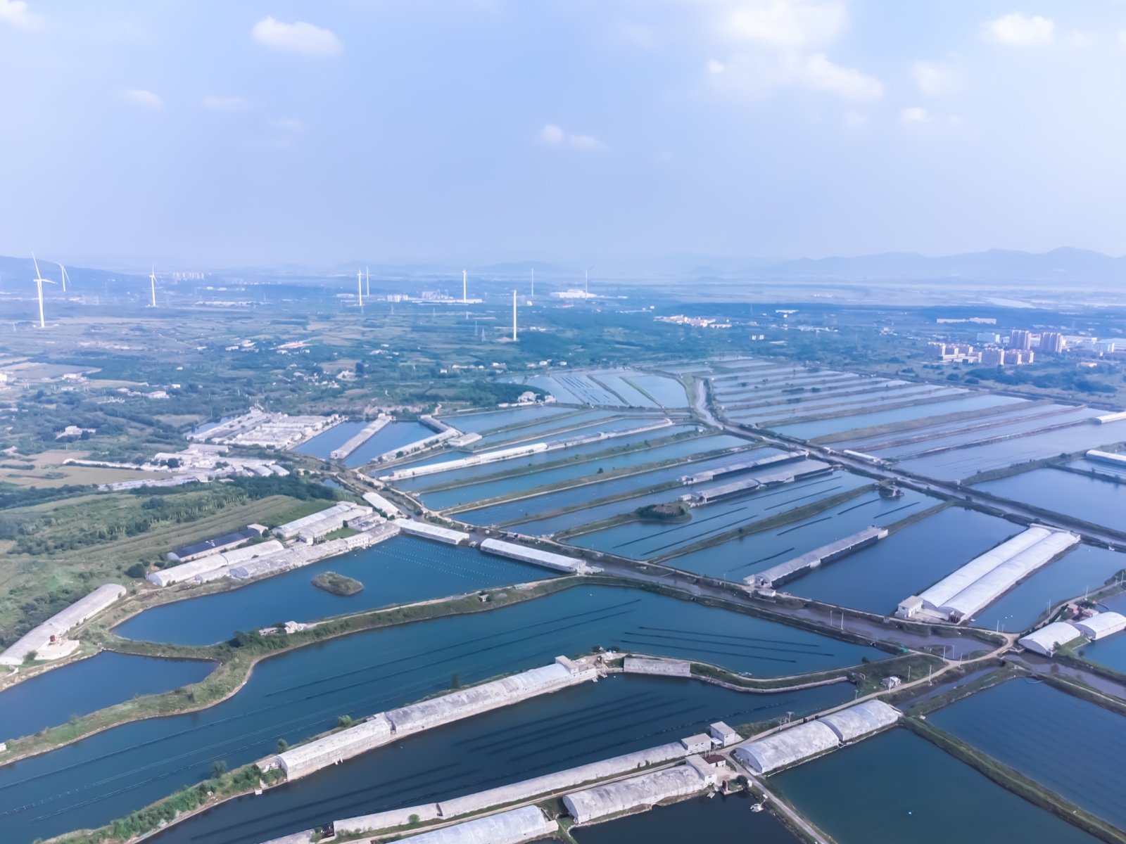 瓦岛珍参千亩围堰基地外海航拍